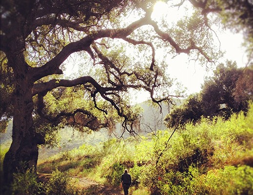 Sunday Hike in Malibu