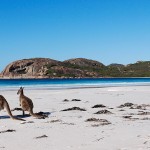 Why You Should Visit Western Australia